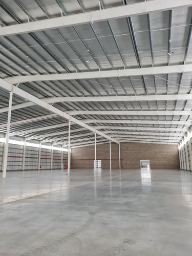 Nave Logistica Industrial 6.000 M2