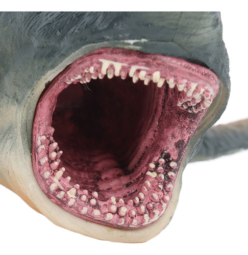 Modelo De Tiburón, Juguete, Simulador De Pez Educativo, Vívi