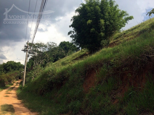 Imagem 8 de 15 de Sítio Em Três Porteiras - Paty Do Alferes - 1517