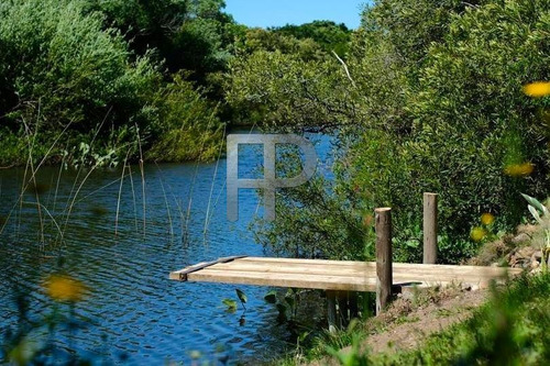 Imagen 7 de 18 de Chacra En Venta San Carlos 3 Dormitorios, 5 Hectáreas