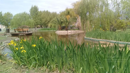 Imagen 10 de 14 de Gb Propiedades- Excelente Lote En Venta!!