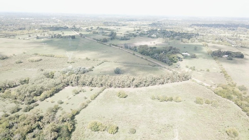 Imagen 15 de 17 de Campo - Fátima Estacion Empalme