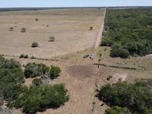 Imagen 23 de 30 de Campo Ganadero 3220 Ha - ( 420 Agrícolas ) Reconquista - Prov. De Santa Fe