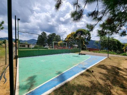 Imagem 8 de 12 de Terreno Com 600 M² No Parque Do Imbuí - Teresópolis/rj. - Te00466 - 70716171