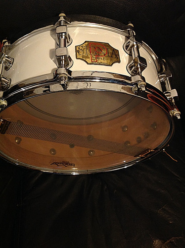  Premier Signia Maple 1990s