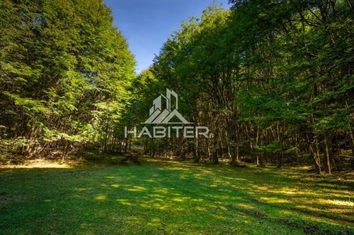 Imagen 4 de 21 de Sitio En Loteo Venta En Cerro Castillo Río Ibáñez Aysen