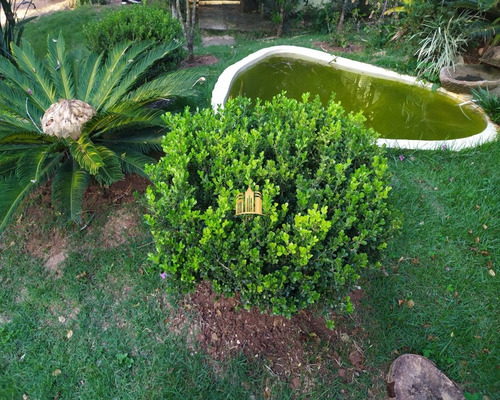 Imagem 17 de 30 de Sitio Em Boa Vista - Esmeraldas - St00068 - 34802218