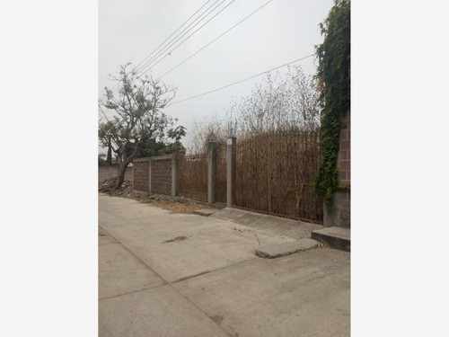 Imagen 5 de 10 de Terreno En Venta Pazulco