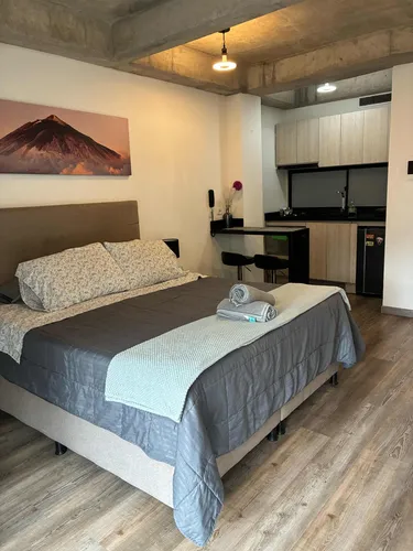 Apartaestudio En Arriendo