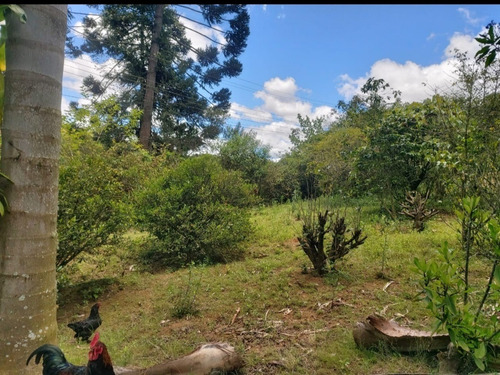 Imagem 26 de 29 de Chácara Ibiuna 2.400 Mts Casa,pomar, Piscina, Oportunidade