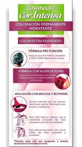 Garnier Tintura Cor Intensa 6.6 Rojo Intenso