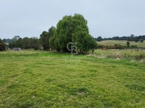 Parcela En Frutillar: Naturaleza Y Conectividad