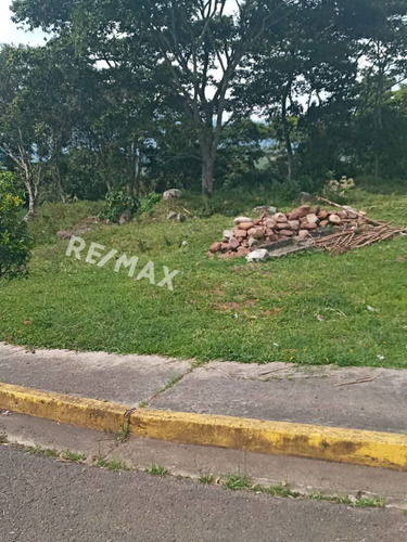 Imagen 6 de 6 de Venta.terreno.eljunco