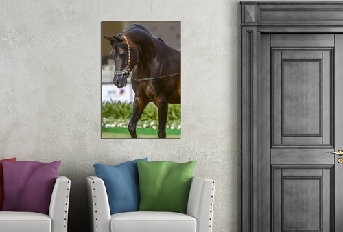 Vinilo Decorativo 30x45cm Caballo Campo Horse Vinil M3