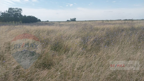 Campo De 19,75 Has. En Zona Nucleo Horticola.