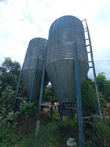 Imagen 4 de 30 de Granja Porcina O Unidad De Producción La Victoria, Aragua.