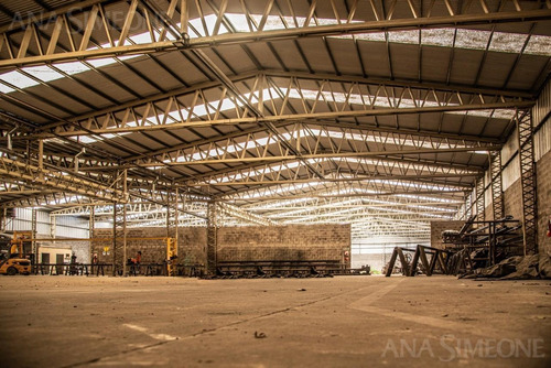 Nave Industrial - Venta Y Alquiler - Chivilcoy