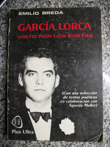 Garcia Lorca Visto Por Los Poetas(con Una Seleccion De T C19