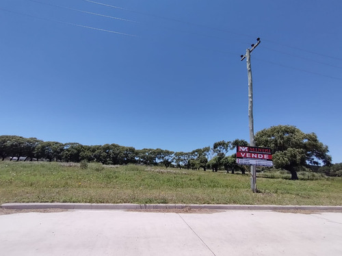 Gran Loteo En San Bernardo, Sobre Colectora!