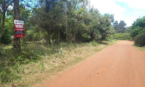 (cod. 319) - Hermoso Lote Acceso Oeste - Barrio Tacuaritas