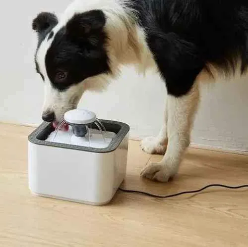 Fuente De Agua Para Gatos Y Perros De 2.5 Litros De 3 Modos Color Gris