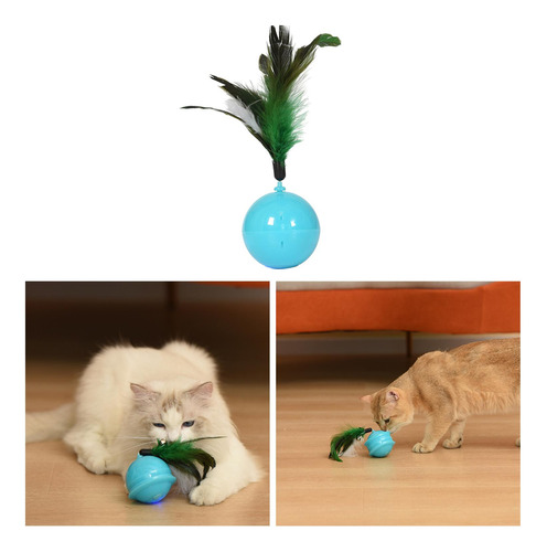 Pet Cat Ball Kitty Interior 6 Modos Auto Giratorio Vaso De