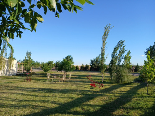 Se Vende Chacra De 17 Has. En Beazley San Luis