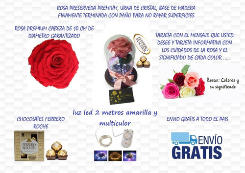 Rosa Preservada Premium 100% Natural + Cúpula + Envio Gratis