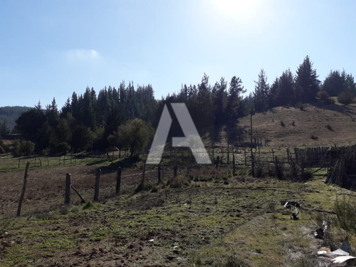 Imagen 6 de 14 de Paredones, Vendo Predio Agrícola Forestal, 23,5 Hectáreas...