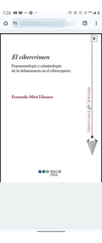 El Cibercrimen