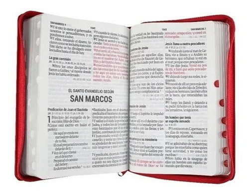 Imagen 4 de 4 de Biblia Letra Gigante Rvr1960 Imit. Piel Cierre/índice (3371)