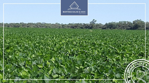 Imagen 1 de 6 de Pampa Del Indio - 279 Has. Campo Con Siembra Directa De Soja