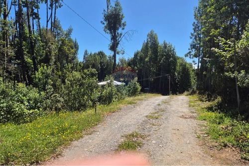 Venta Parcela C/ Acceso A Lago San Antonio Chiloe