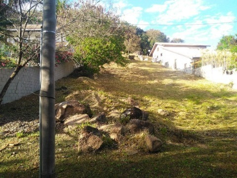Imagem 3 de 14 de Terreno - Te01488 - 34292625