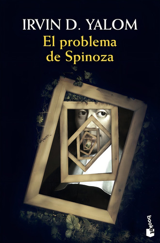 Libro Problema De Spinoza,el