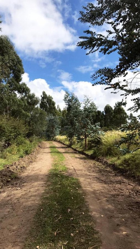 Imagen 1 de 7 de Venta Terreno - La Falda, Córdoba, Argentina.
