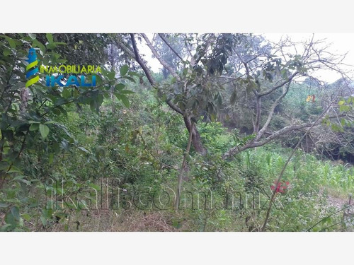 Imagen 5 de 10 de Terreno Comercial En Venta Escolin De Olarte