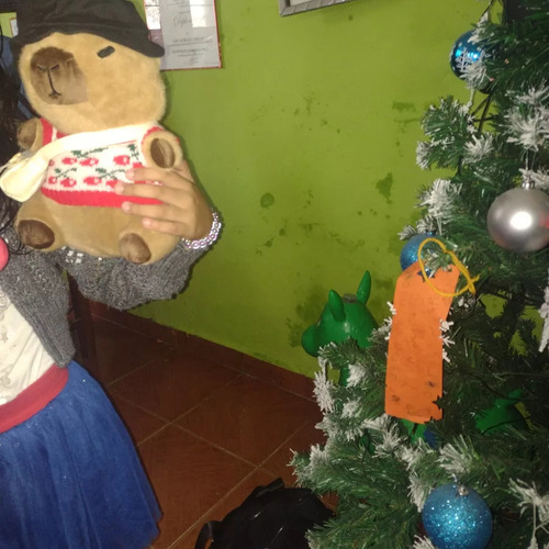 A Para Peluche Capibara Con 9 Piezas Ropa Y Accesorios,10.2