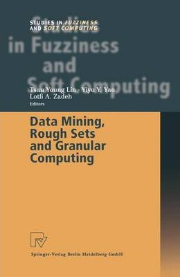 Libro Data Mining, Rough Sets And Granular Computing - Ts...