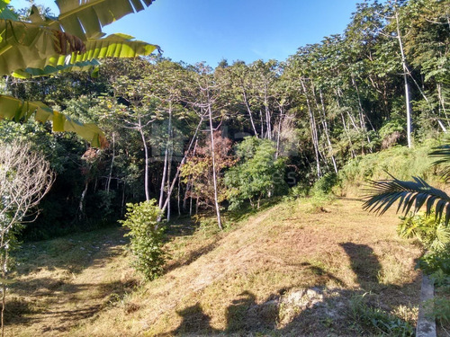 Imagem 27 de 30 de Chácara À Venda Em Canelinha/sc - 1652c