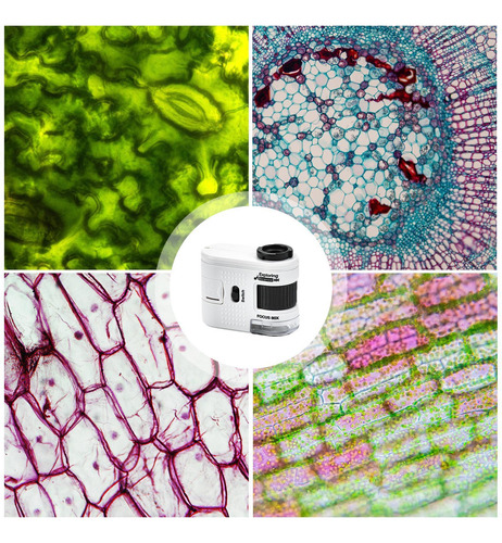 Microscopio De Mano Microscopio Para Niños Microscopio Para