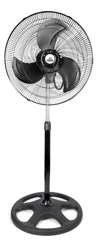 Set De 2 Ventiladores 3 En 1 Best Home Color Negro
