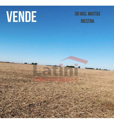 Imagen 1 de 6 de Campo 38 Ha. Mixto