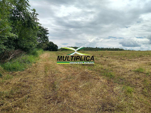 Imagem 3 de 8 de Chácaras Parceladas Em Uberlândia Na Beira Do Rio. 20.000 M², 2 Hectares - 373