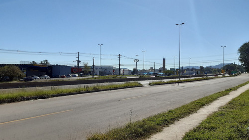 Imagem 13 de 16 de Alugo Pavilhão Comercial Em Santa Maria Com 600m2 E Estacionamento Frente Para Br 158 - 989906