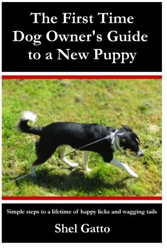 The First Time Dog Owners Guide To A New Puppy