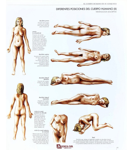 El Cuerpo Humano En Su Conjunto, Atlas De Anatomía