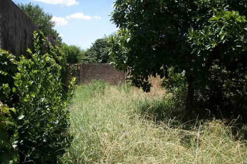 Imagen 6 de 12 de Lote En Venta En Haedo Centro Sur