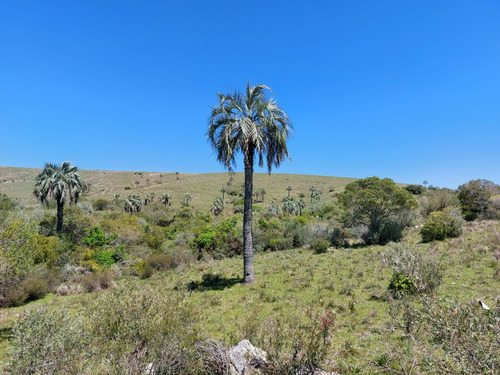 88hás De Campo Serrano Sierras Del Carapé