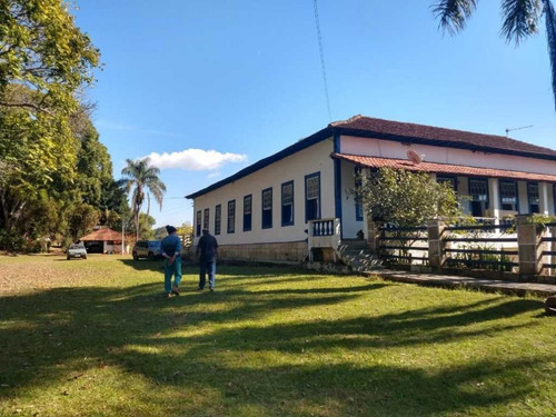 Imagem 6 de 30 de Fazenda Centenária Três Corações 170 Hectares 7.000,000,00 - 41026